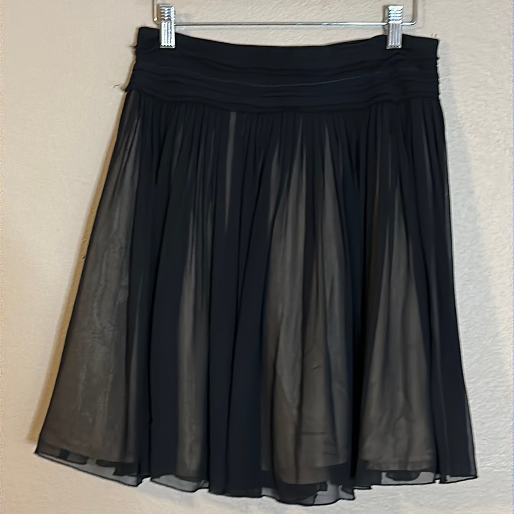 Banana Republic Silk Tulle Fit and Flair Skirt Size 2
